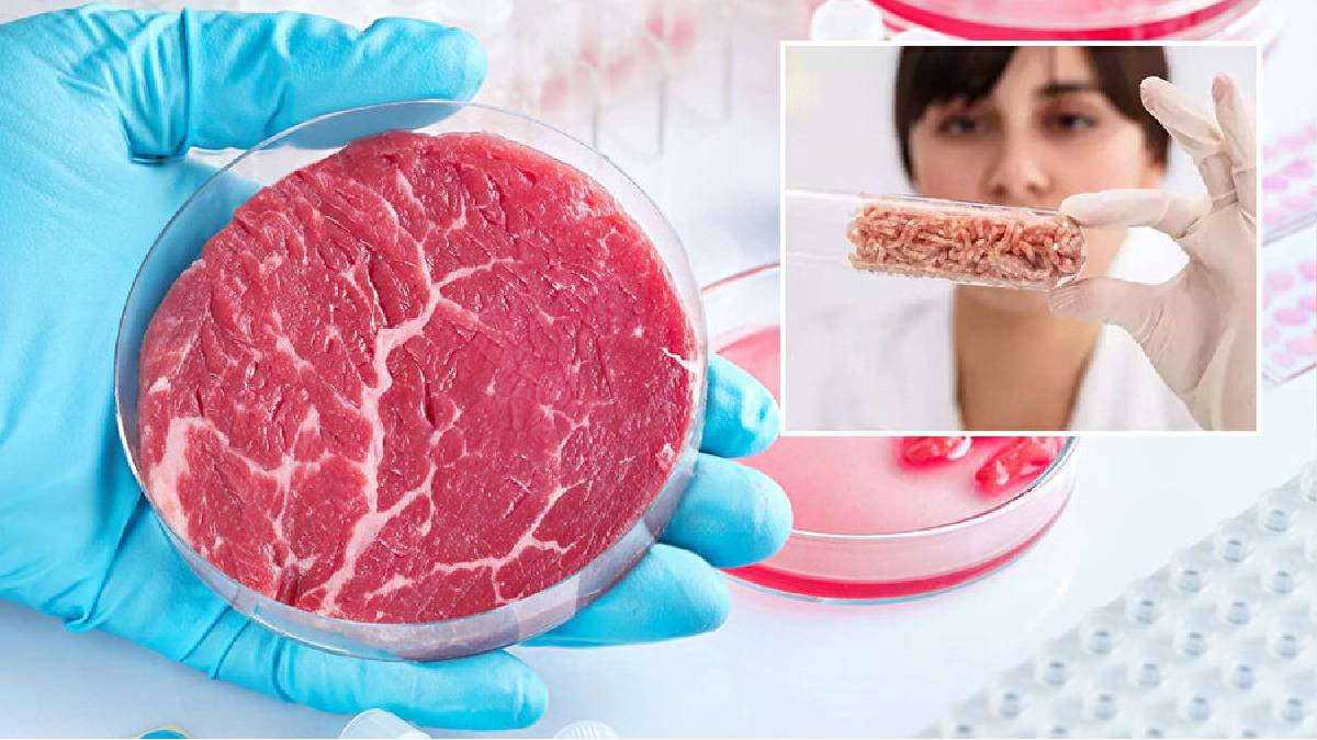 Artan et fiyatlarına yapay etli çözüm! Türkiye'de yapay et pazara girecek mi?