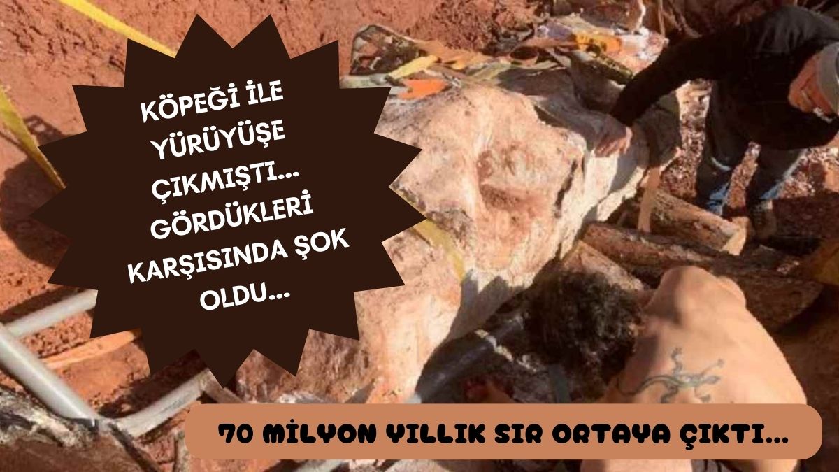 Köpeğiyle ormanda yürüyüşe çıkmıştı, çöken uçurumun kenarında gördüğüne inanamadı, hemen kontrol etti, 70 milyon yıllık...