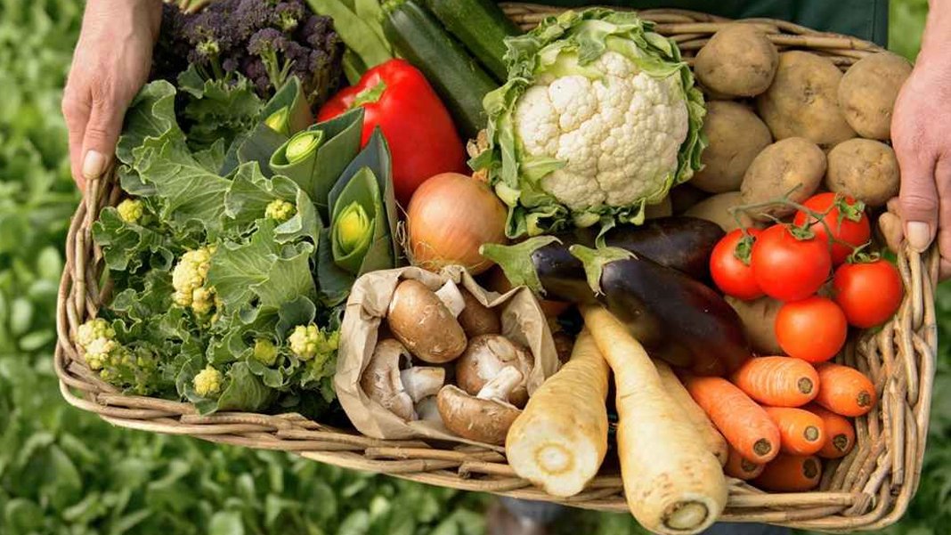 FAO ve TÜİK'in verileri gerçeği ortaya koydu: Gıda fiyatları dünyada yüzde 10,5 düştü Türkiye'de yüzde 71,12 arttı