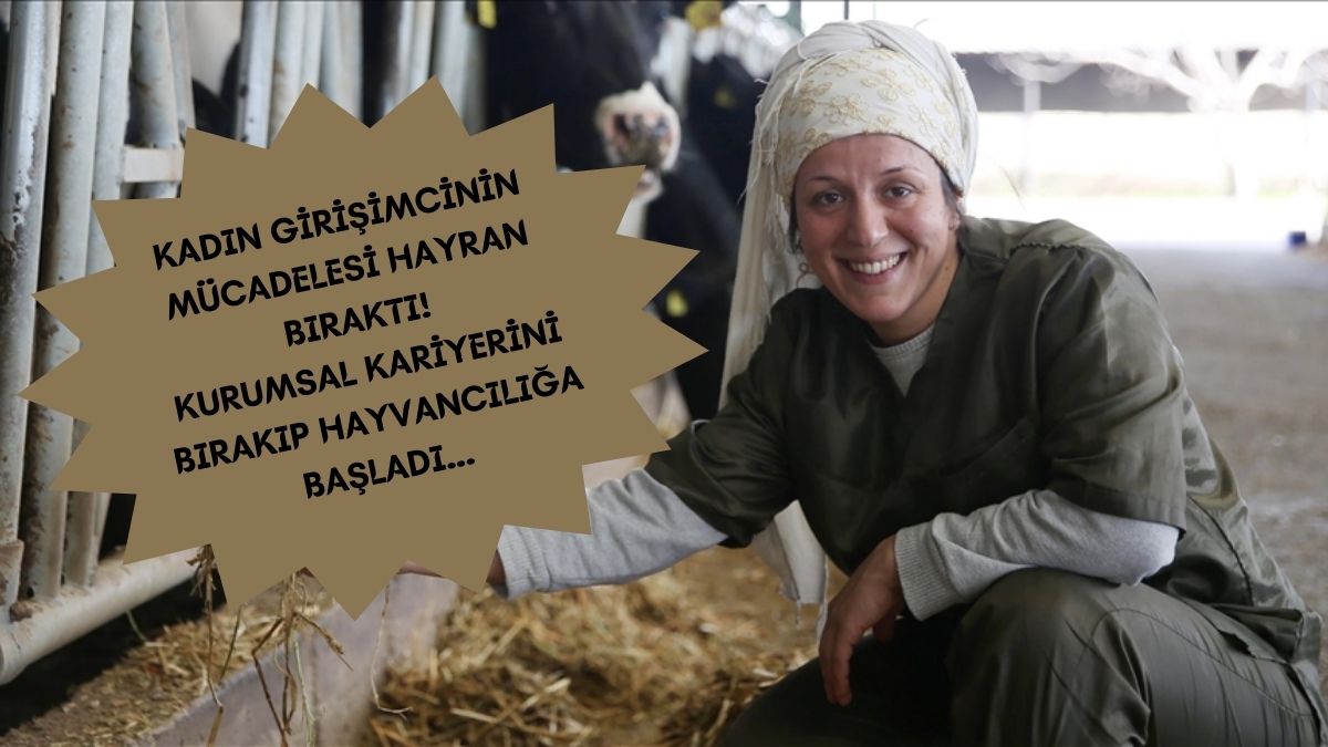 Plazadaki işini bıraktı Manisa'da hayvancılığa başladı! O iş uğruna Lüksemburg'u reddetti: Hayatını gören imrenmeden geçemiyor