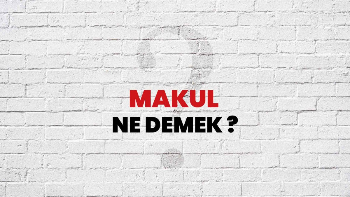 Makul Ne Demek?