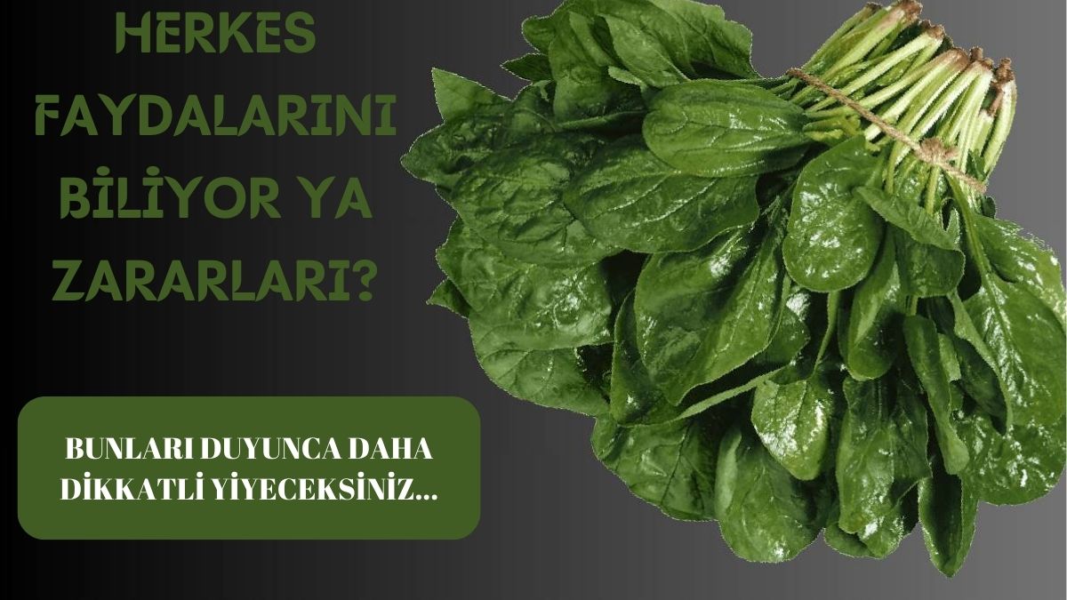 Ispanak yerken iki kere düşünün! Uzmanlar uyardı