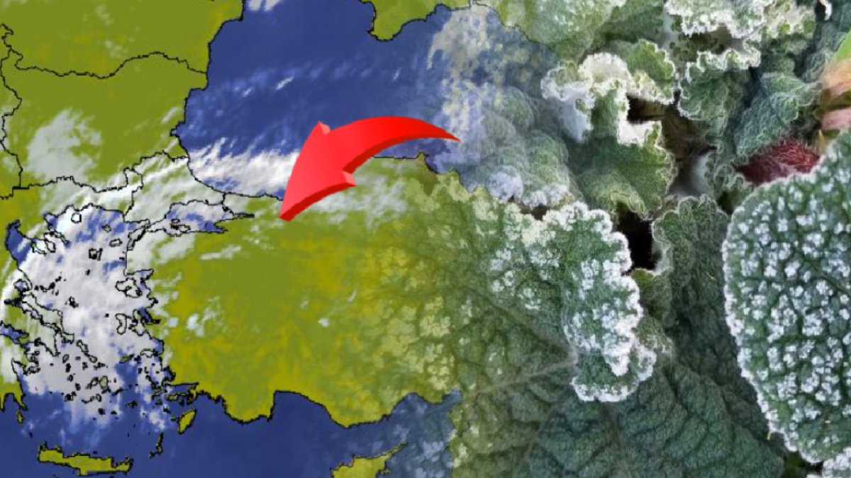 O ilimizdeki çiftçiler için kötü haber! Meteorolojiden zirai don uyarısı