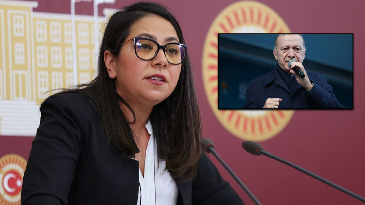 TİP'li Sera Kadıgil'den 'Son seçimim' diyen Erdoğan'a tepki: Siyasi dilencilik yapıyor