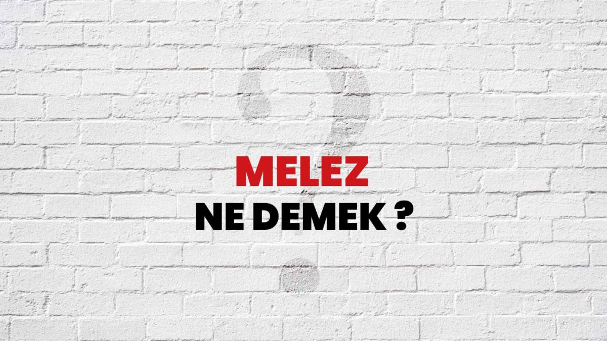 Melez Ne Demek?