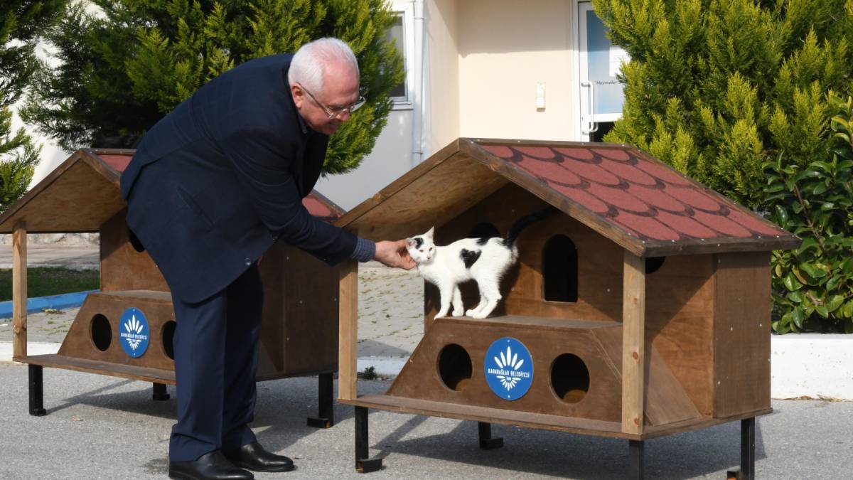 Karabağlar'da minik dostlara yeni evler