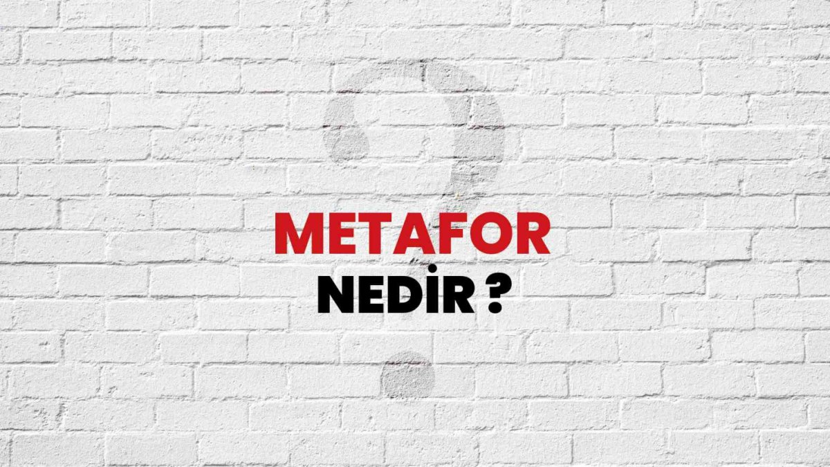 Metafor Nedir?