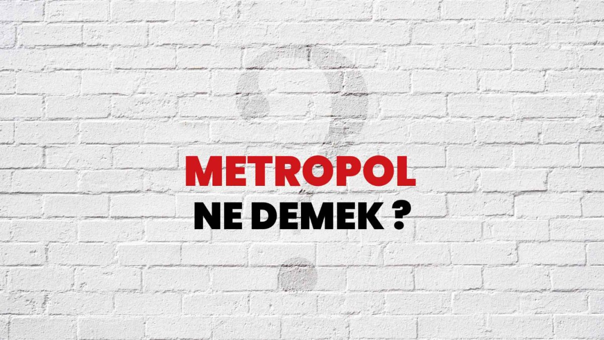 Metropol Nedir?