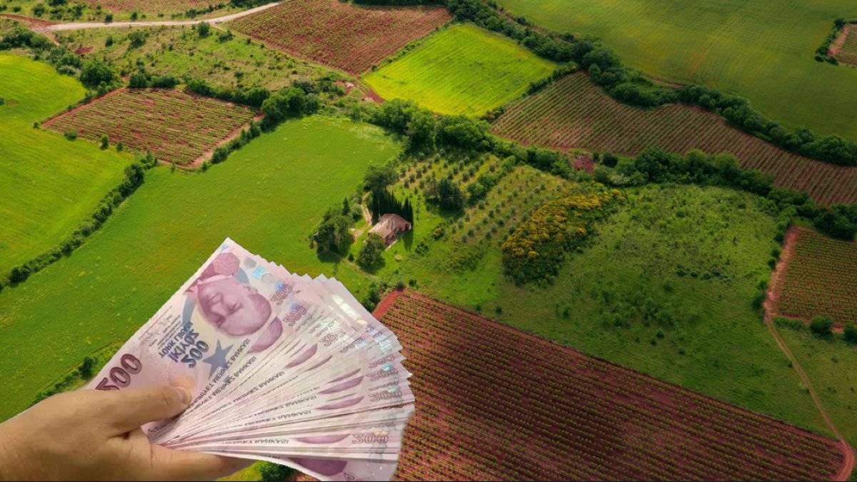 Sadece 10 bin TL’ye tapu fırsatı! Milli Emlak’tan 36 şehirde sudan ucuz arsa satışı başladı!