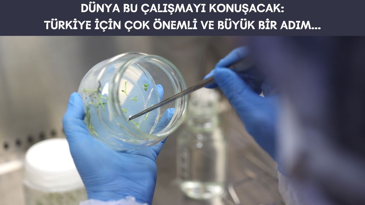 Nevşehirli patates üreticisi tarihe geçti: 23 yıl önce başladı ve sonunda başardı! Türkiye bunu yapabilen 5'inci ülke oldu