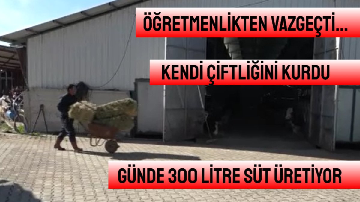 Öğretmenlik hayalinden vazgeçti, çiftlik kurdu! Şimdi ise günde 300 litre süt üretiyor