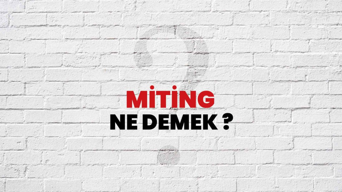 Miting Ne Demek?