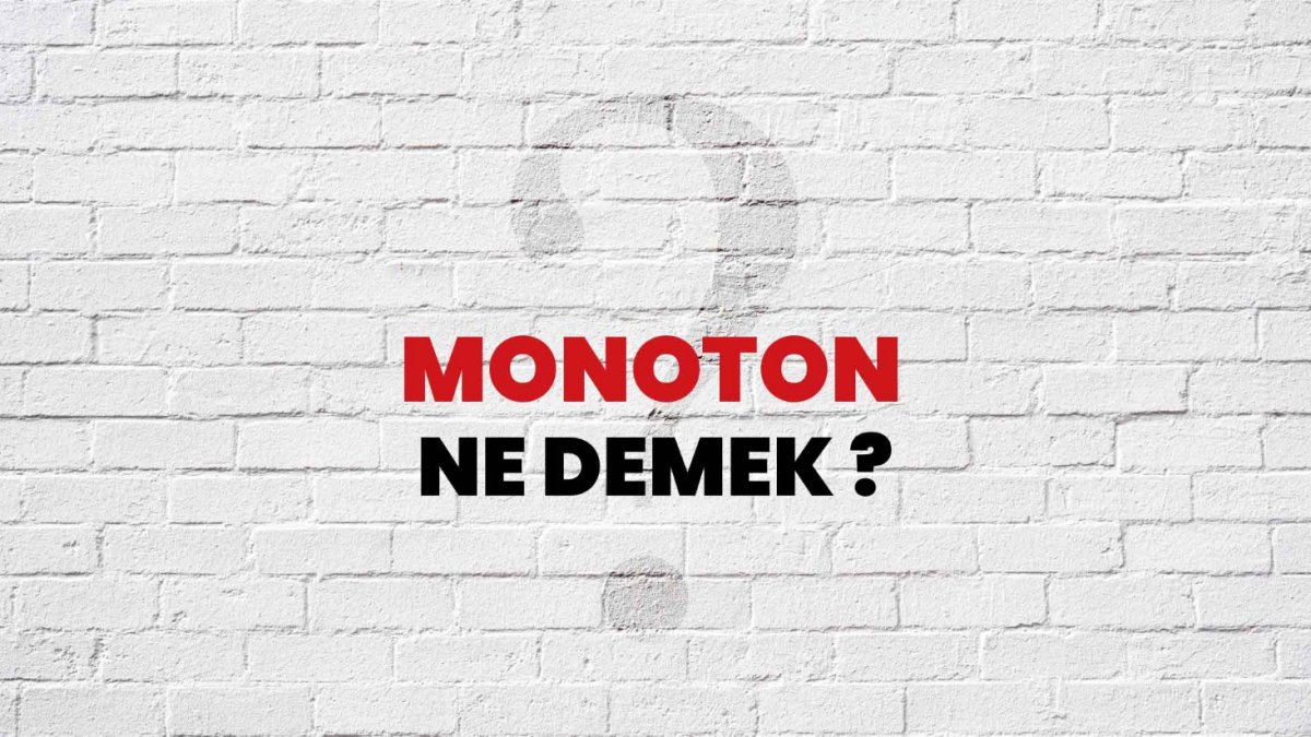 Monoton Ne Demek?