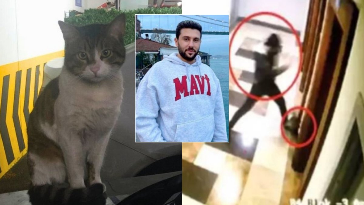 Öldürdükten sonra barınaklara bağış yapan katile 2 yıl 6 ay hapis