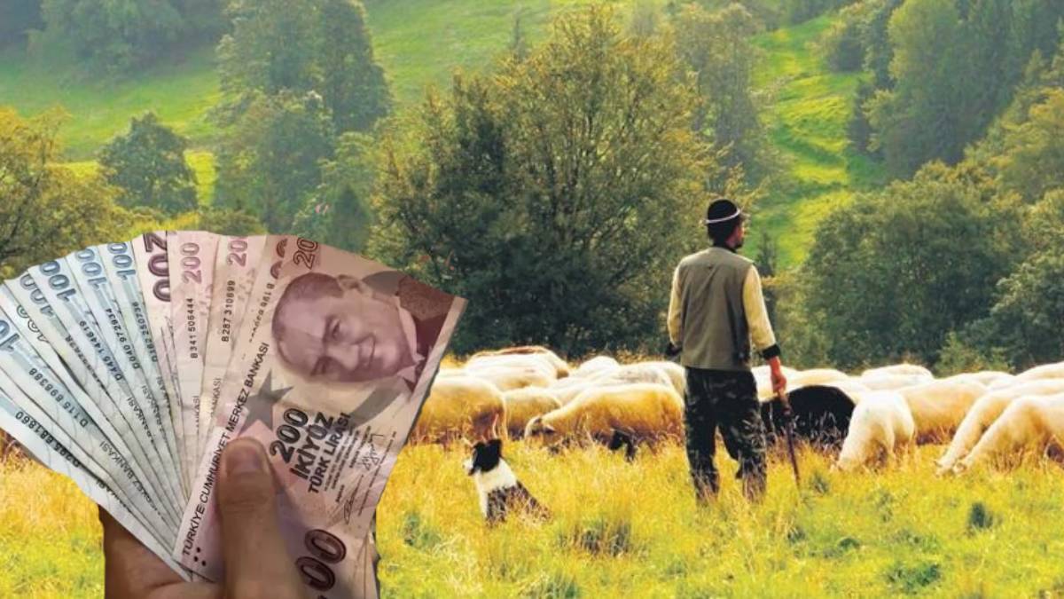 Günlük yevmiye 900 lirayı aştı! Üretici yine de çalışacak kimseyi bulamıyor: 3 kilo et parasına çalışan yevmiyesi…