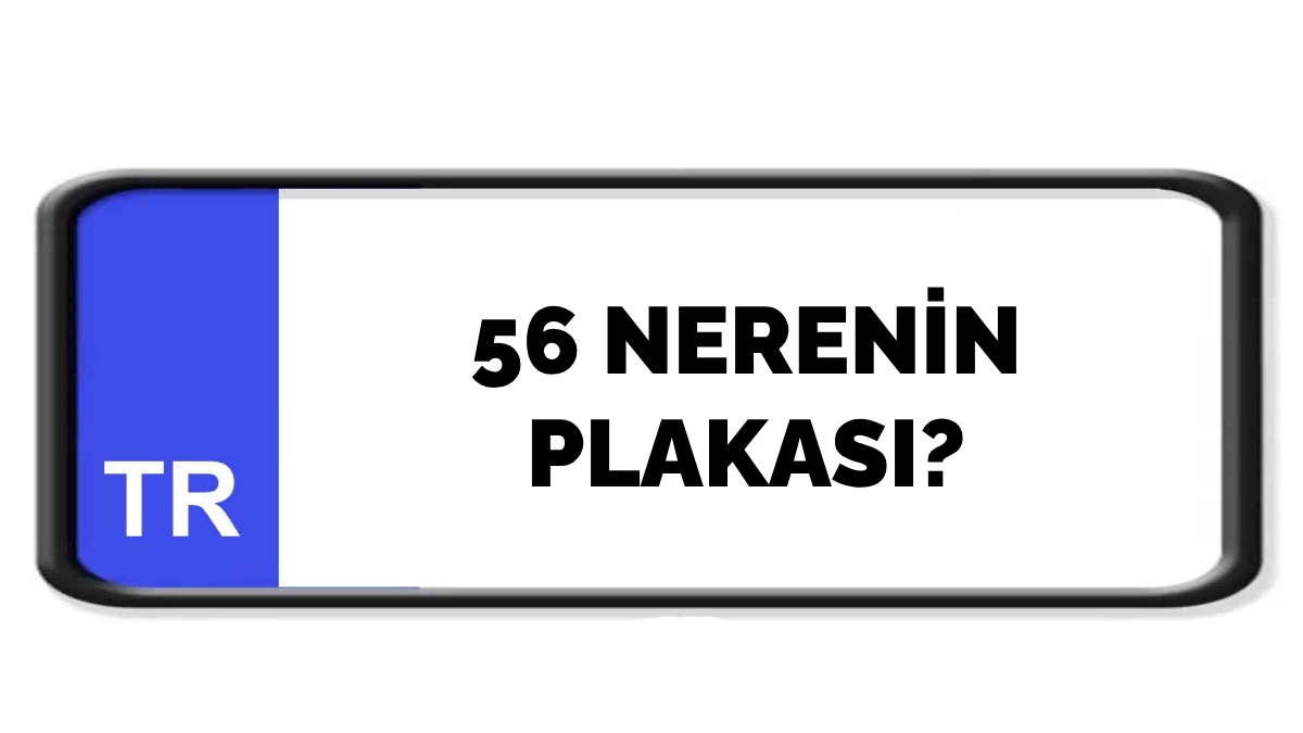 56 nerenin plakası?