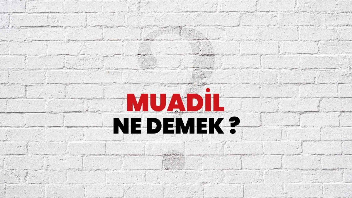 Muadil Ne Demek?