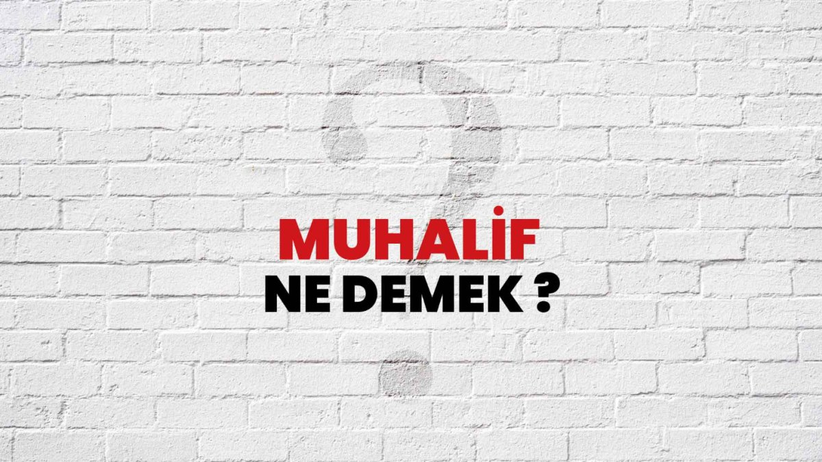 Muhalif Ne Demek?
