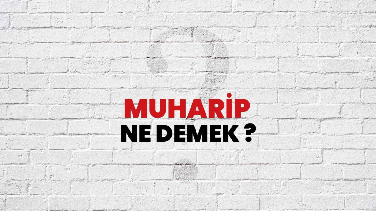 Muharip Ne Demek?