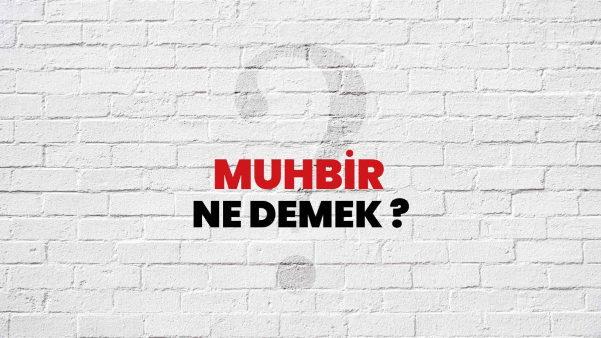 Muhbir Ne Demek?