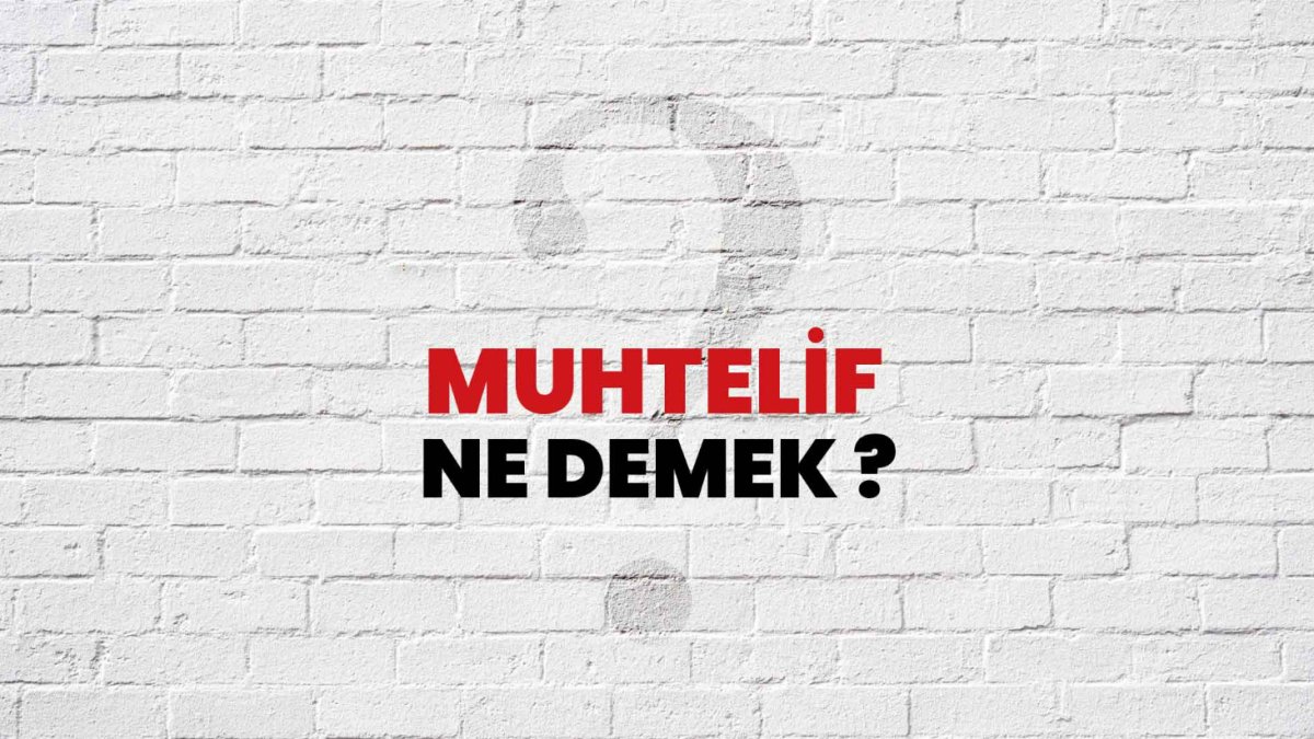 Muhtelif Ne Demek?