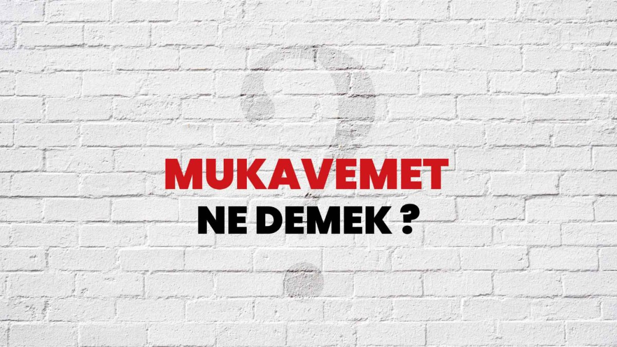 Mukavemet Ne Demek 