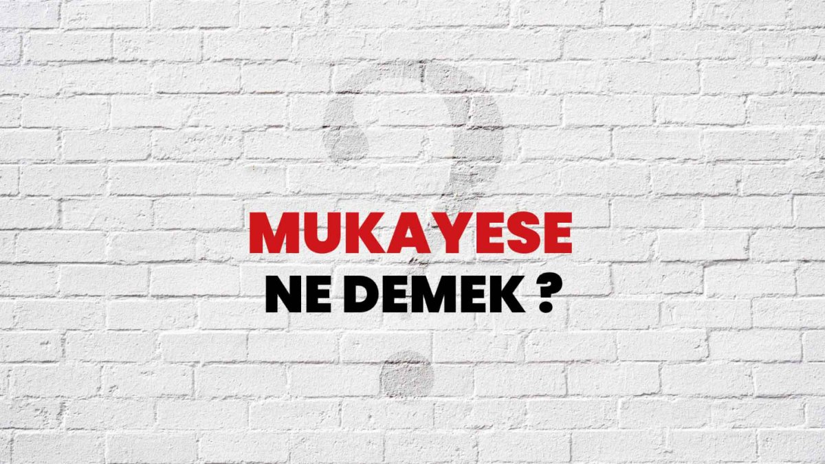 Mukayese Ne Demek?