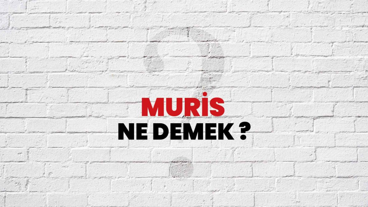 Muris Ne Demek?