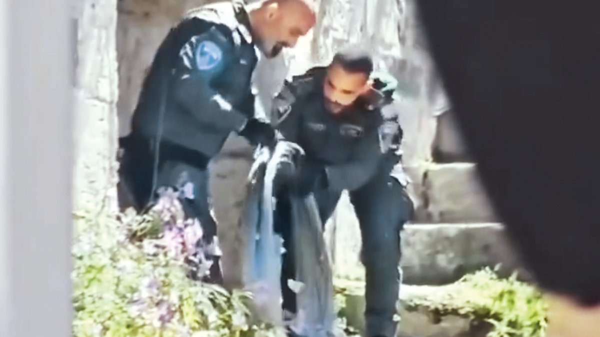 Dikenli tel de Türkiye'den