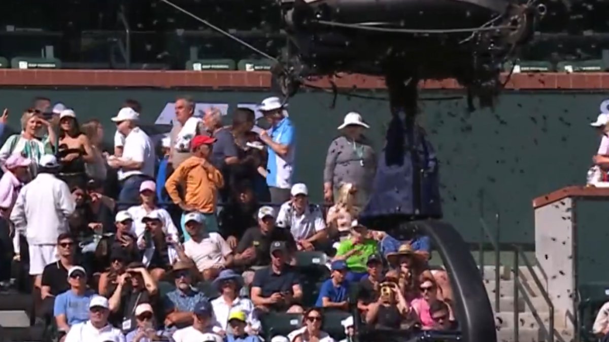 Komedi filmi değil gerçek! Milyonların canlı izlediği maçı arılar bastı: Arkalarına bakmadan kaçtılar!