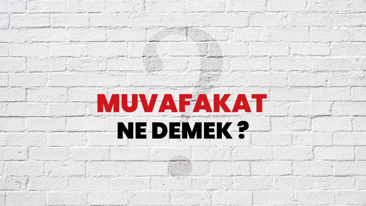 Muvafakat Ne Demek?