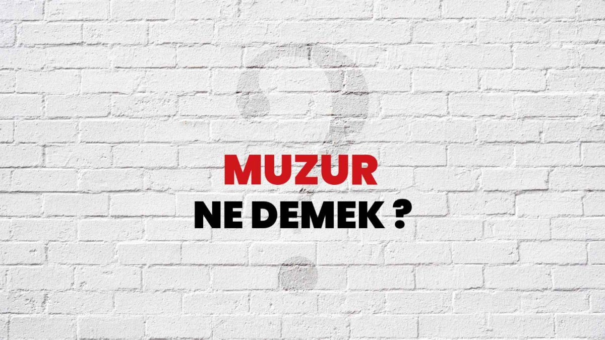 Muzur Nedir: Türkçede Gündelik Hayatta Kullanılan Bir Terim