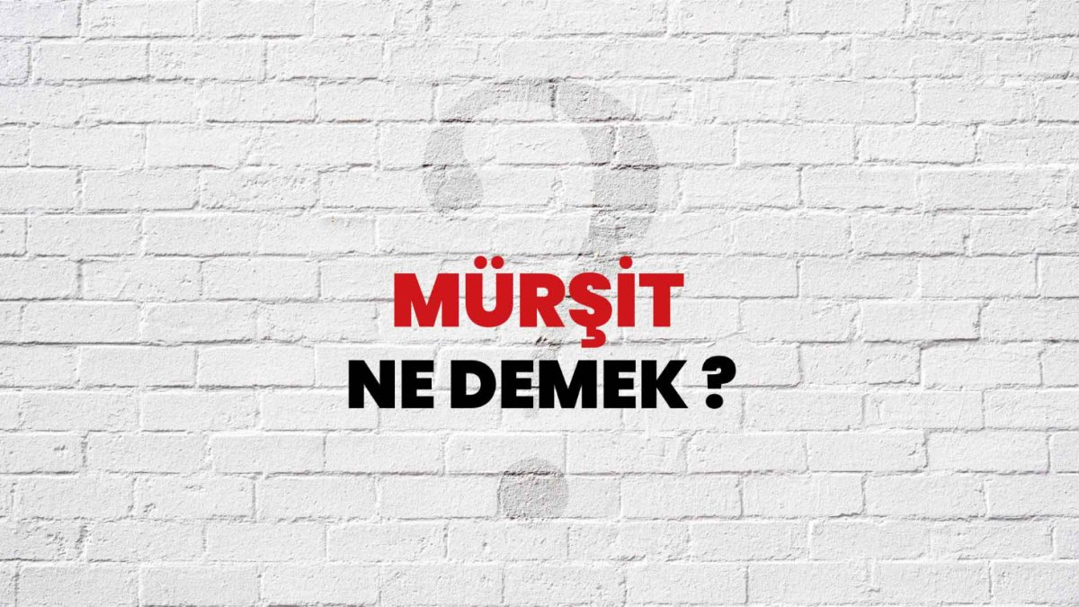 Mürşit Ne Demek?