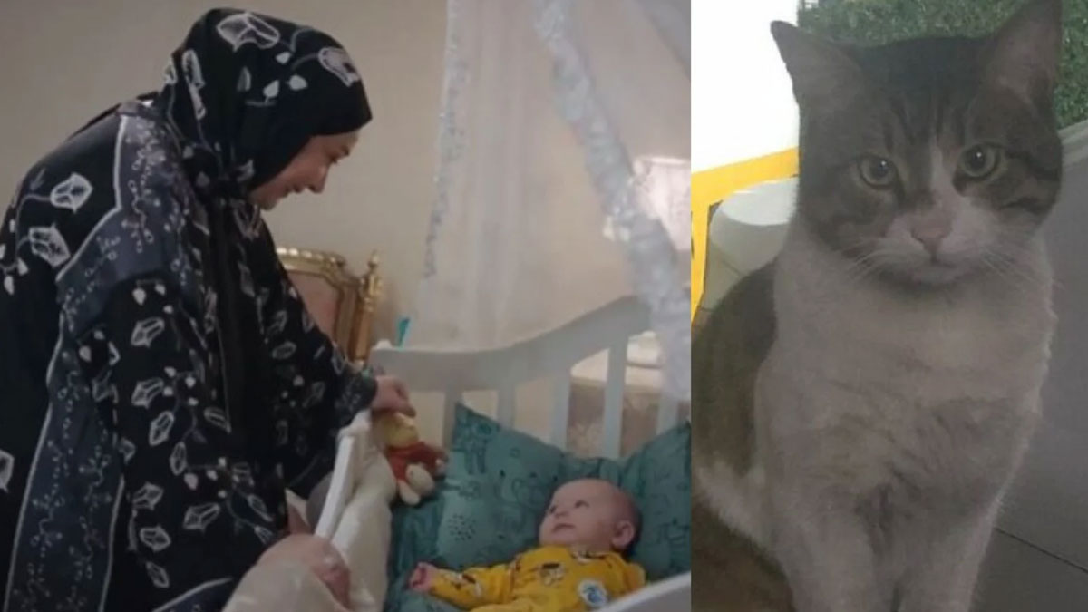 Kızılcık Şerbeti'nde 'Eros' göndermesi: Kimsesizdi diyenlere 'ben varım' de