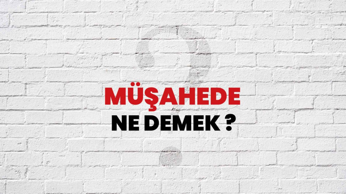 Müşahede Ne Demek?