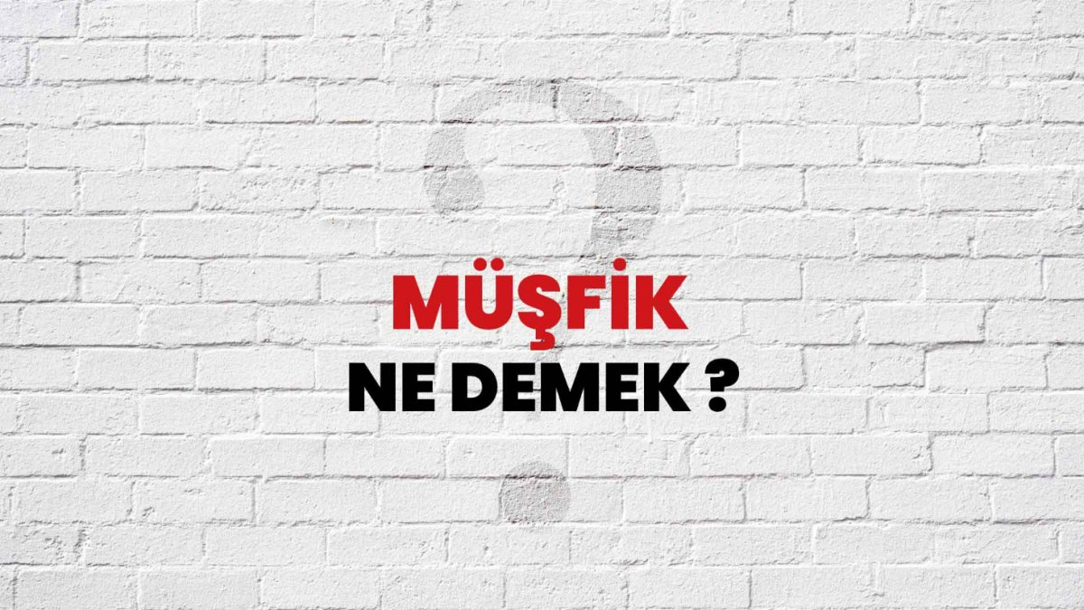 Müşfik Ne Demek Türkçedeki Anlamı ve İfadesi