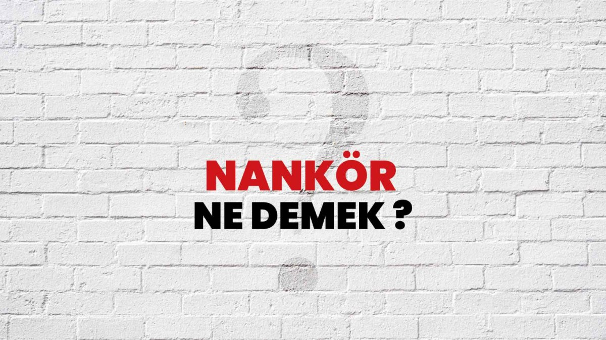Nankör Ne Demek?