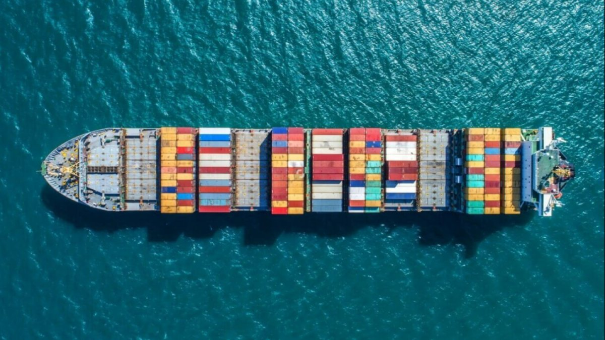 Navlun Nedir? Türkçede Navlun Ne Demek?