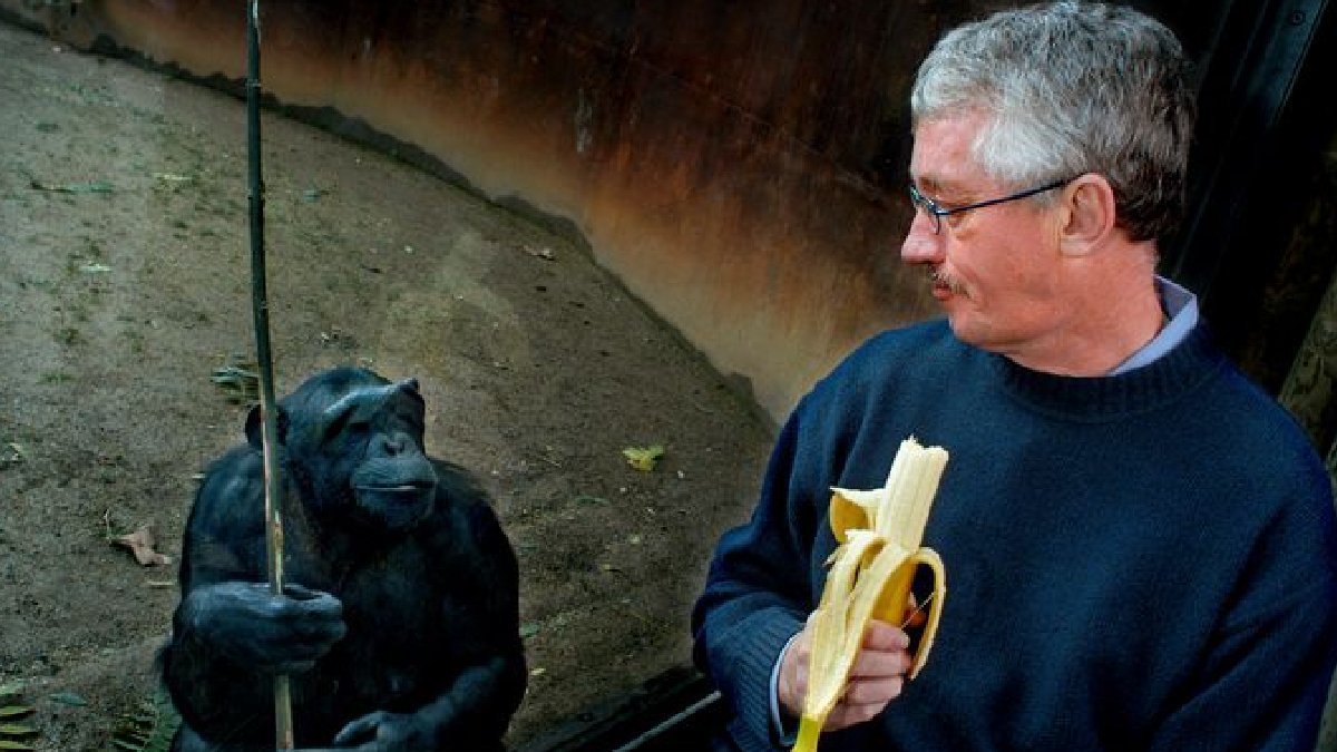 Ünlü primatolog Frans de Waal hayatını kaybetti