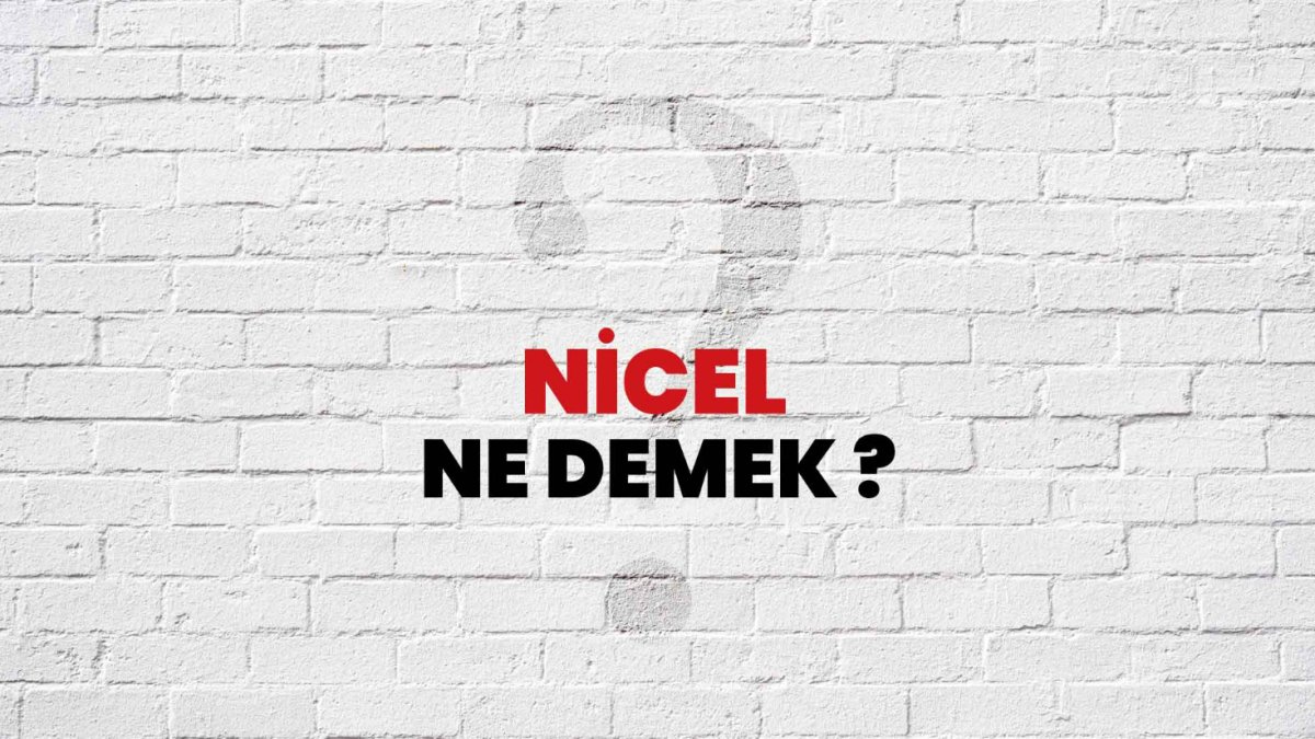 Nicel Ne Demek?