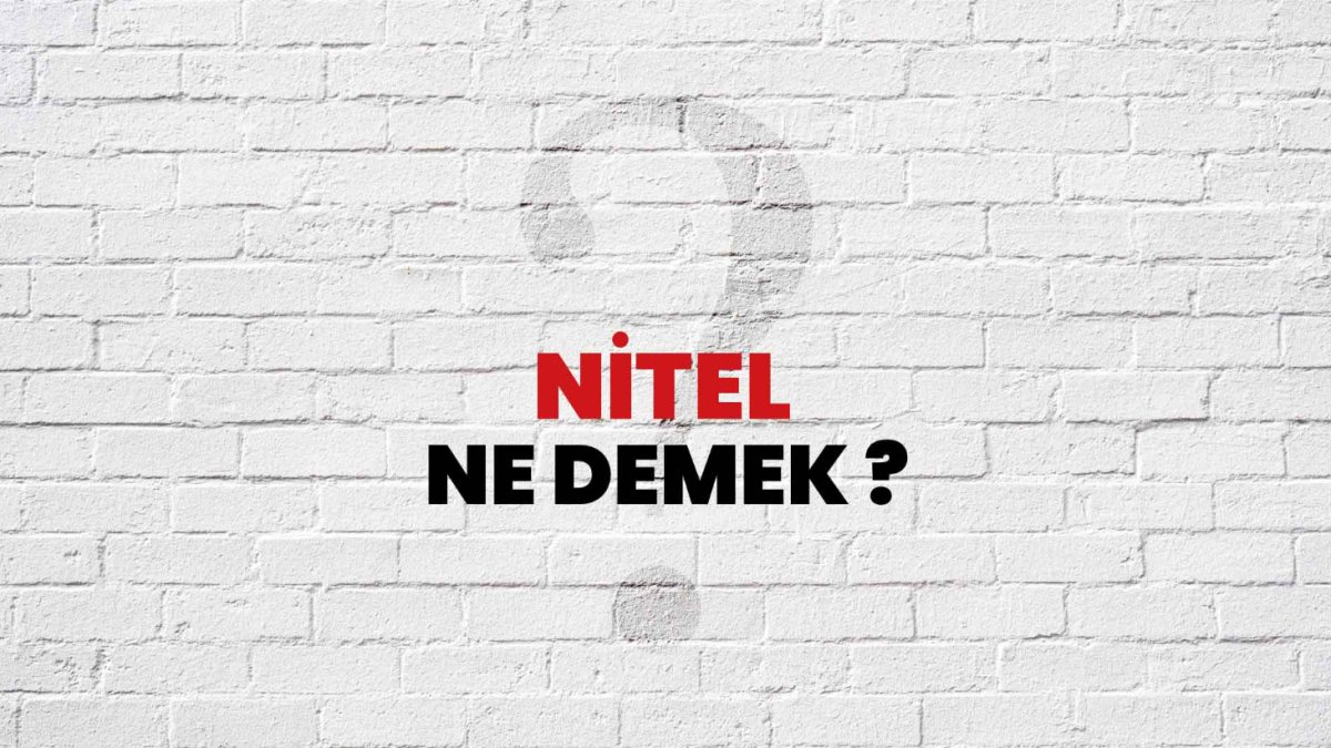 Nitel Ne Demek?