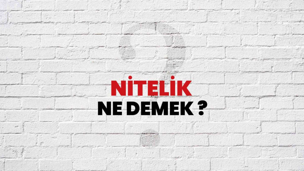Nitelik Ne Demek?