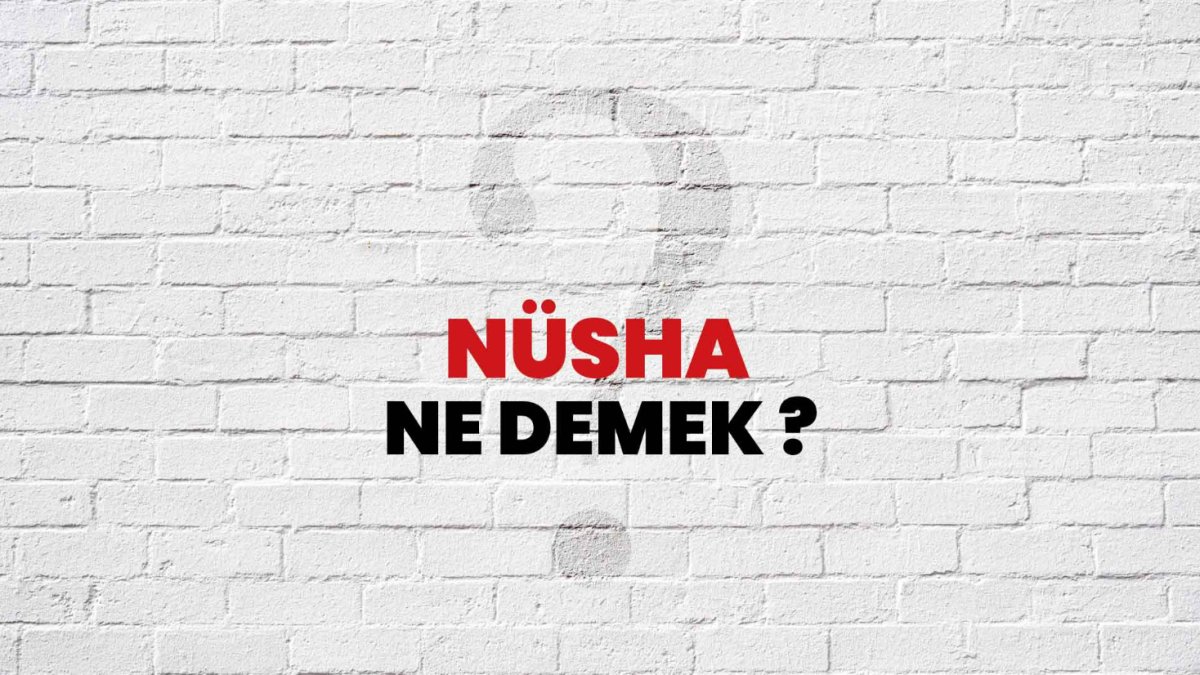 Nüsha Ne Demek?