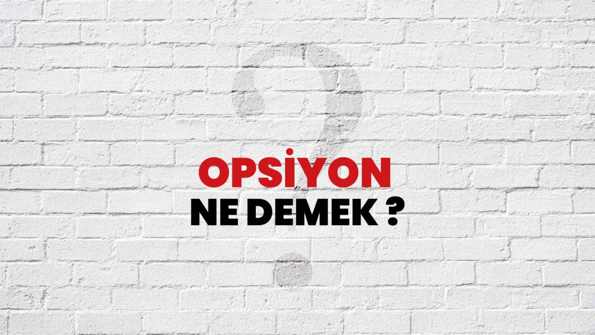 Opsiyon Ne Demek?