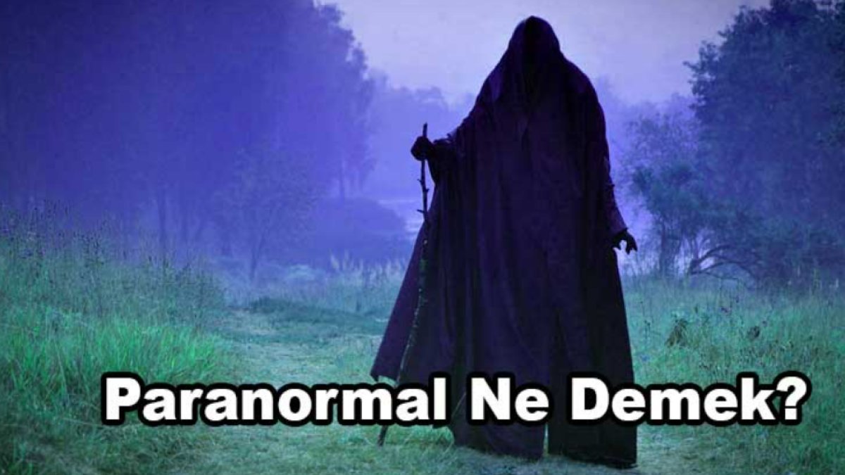 Paranormal: Görülmeyeni Anlamak