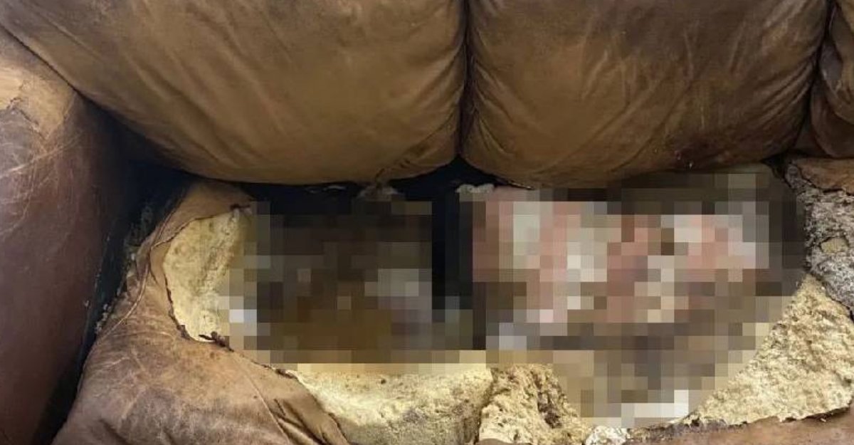 Kızlarının cesedini kanepede çürümeye terk ettiler