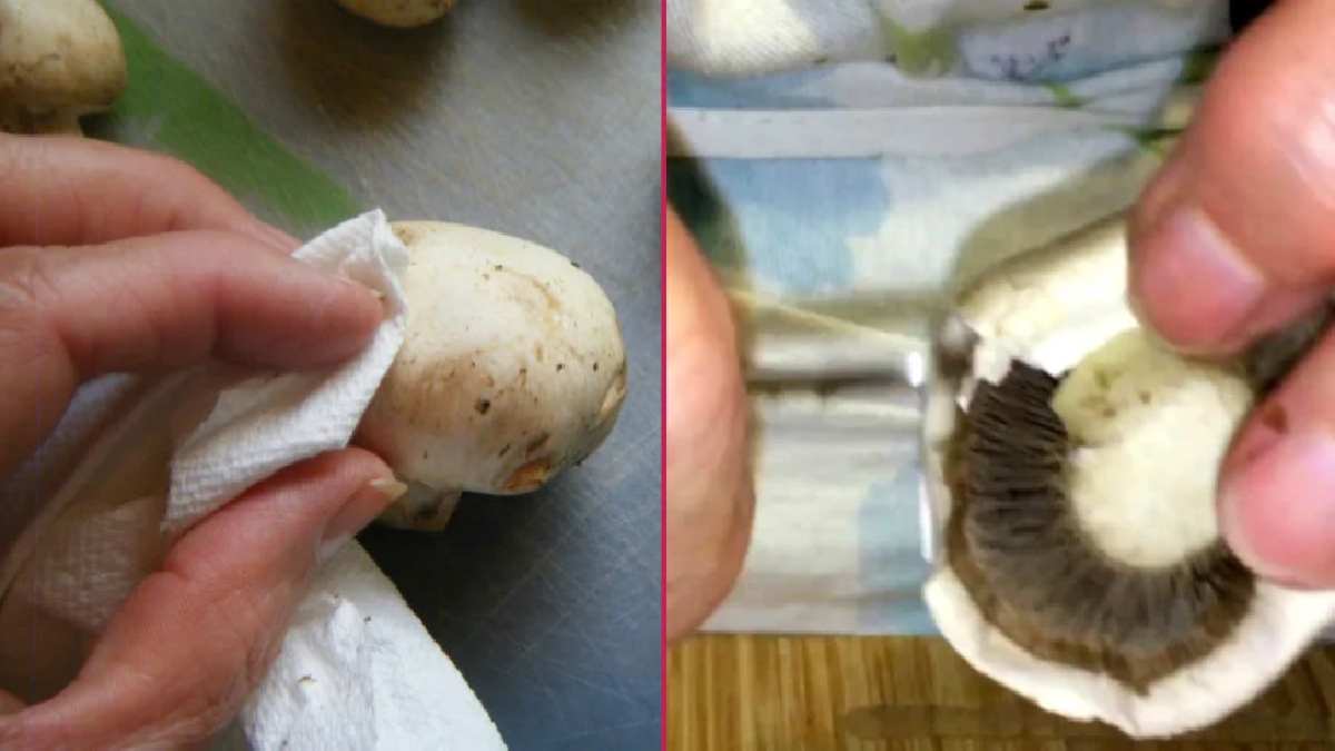 Mantar temizlemenin en kolay yolu buymuş! Ne soyma ne de yıkama, 2 kaşık ekleyince bembeyaz oluyor