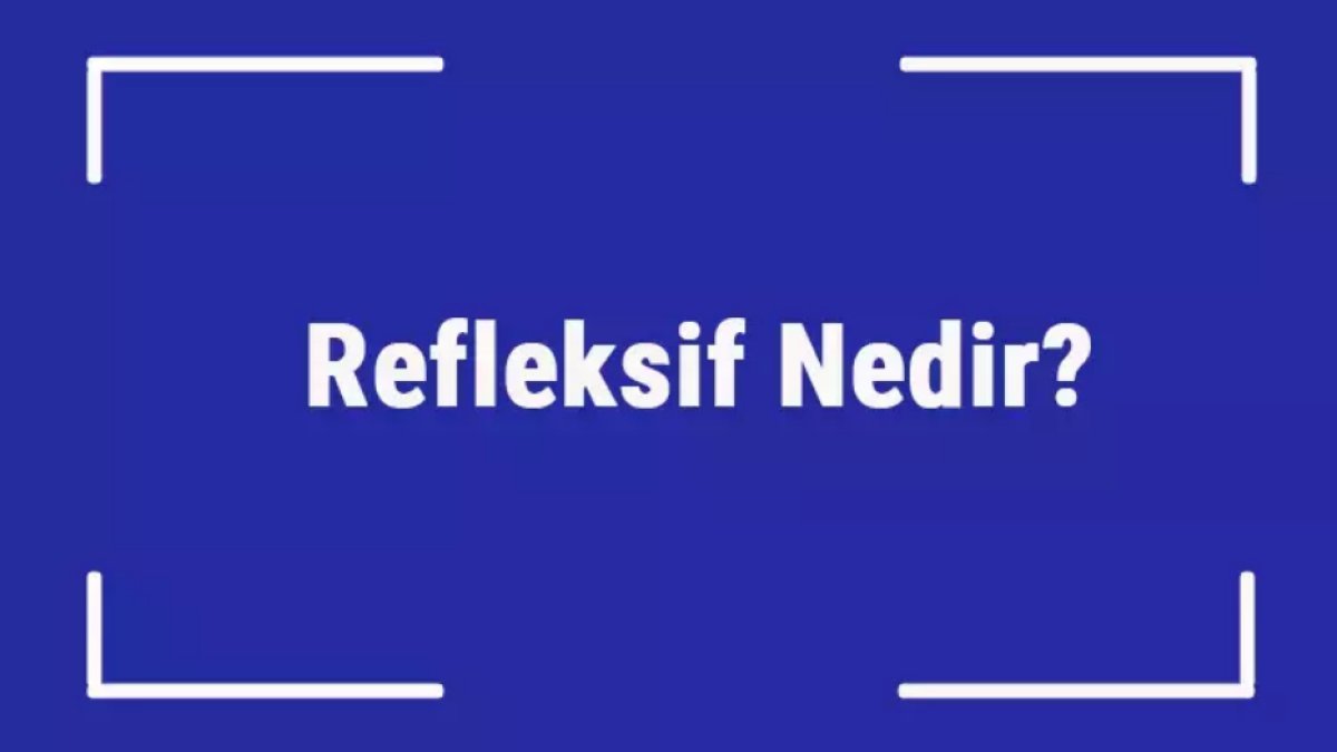 Refleksif Ne Demek?