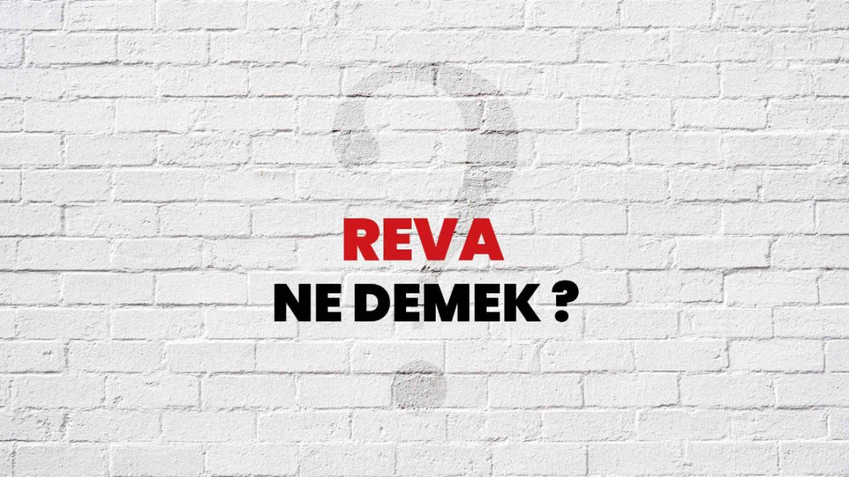 Reva Nedir?