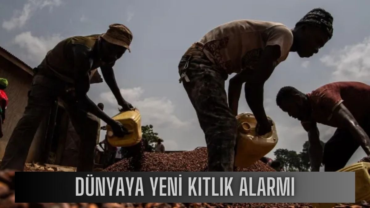 Fiyatlar 2 katına çıktı, fabrikalar üretimi durdurdu! Dünyada büyük kıtlık alarmı: Çok yakında tükenebilir…